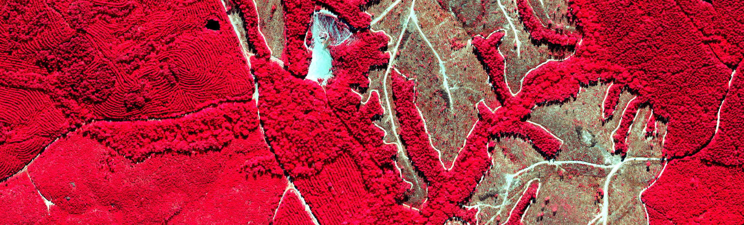 Hale_Township_Arkansas_2480x750